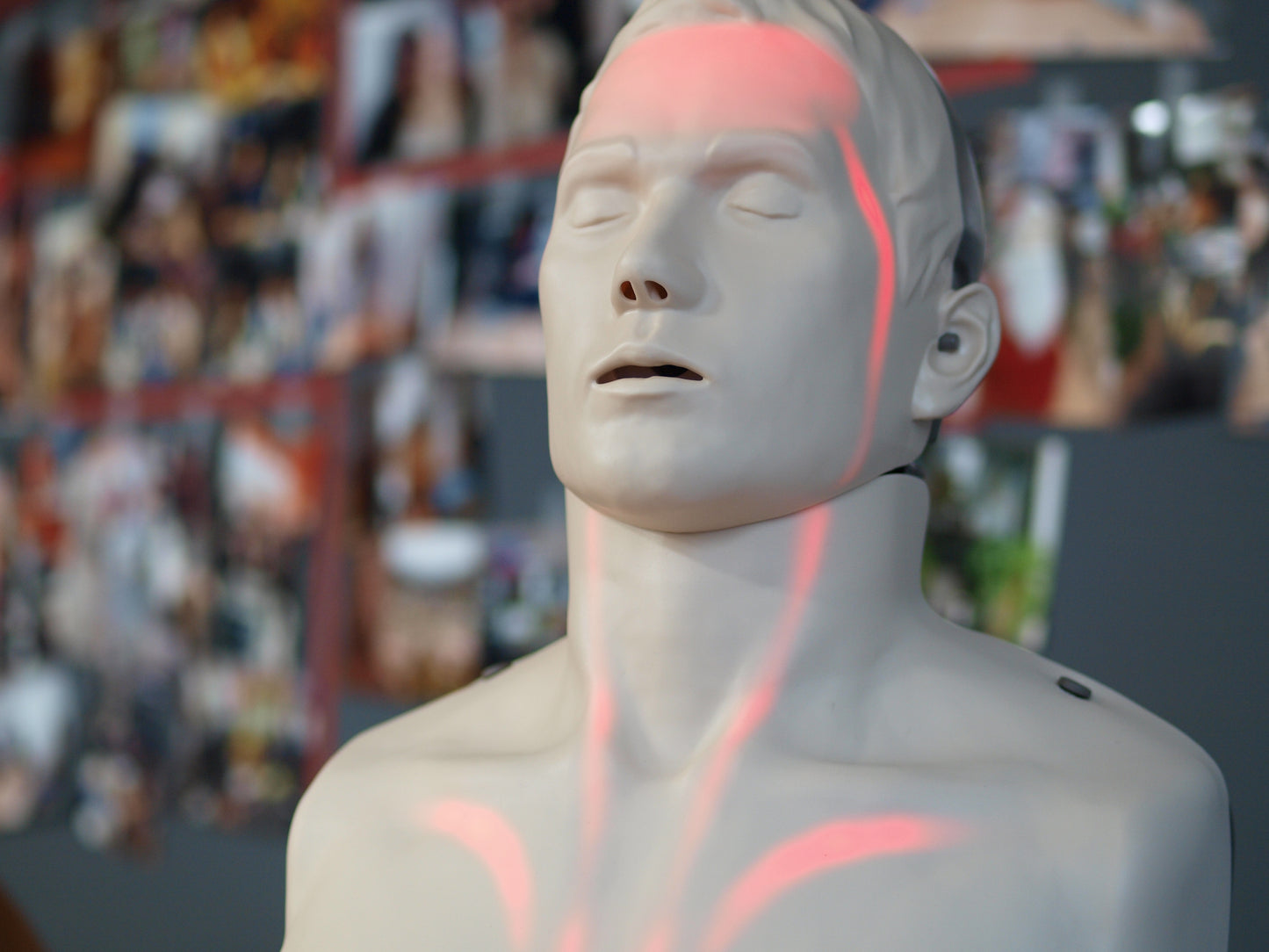 Maniquí de entrenamiento Brayden® Advanced Adulto